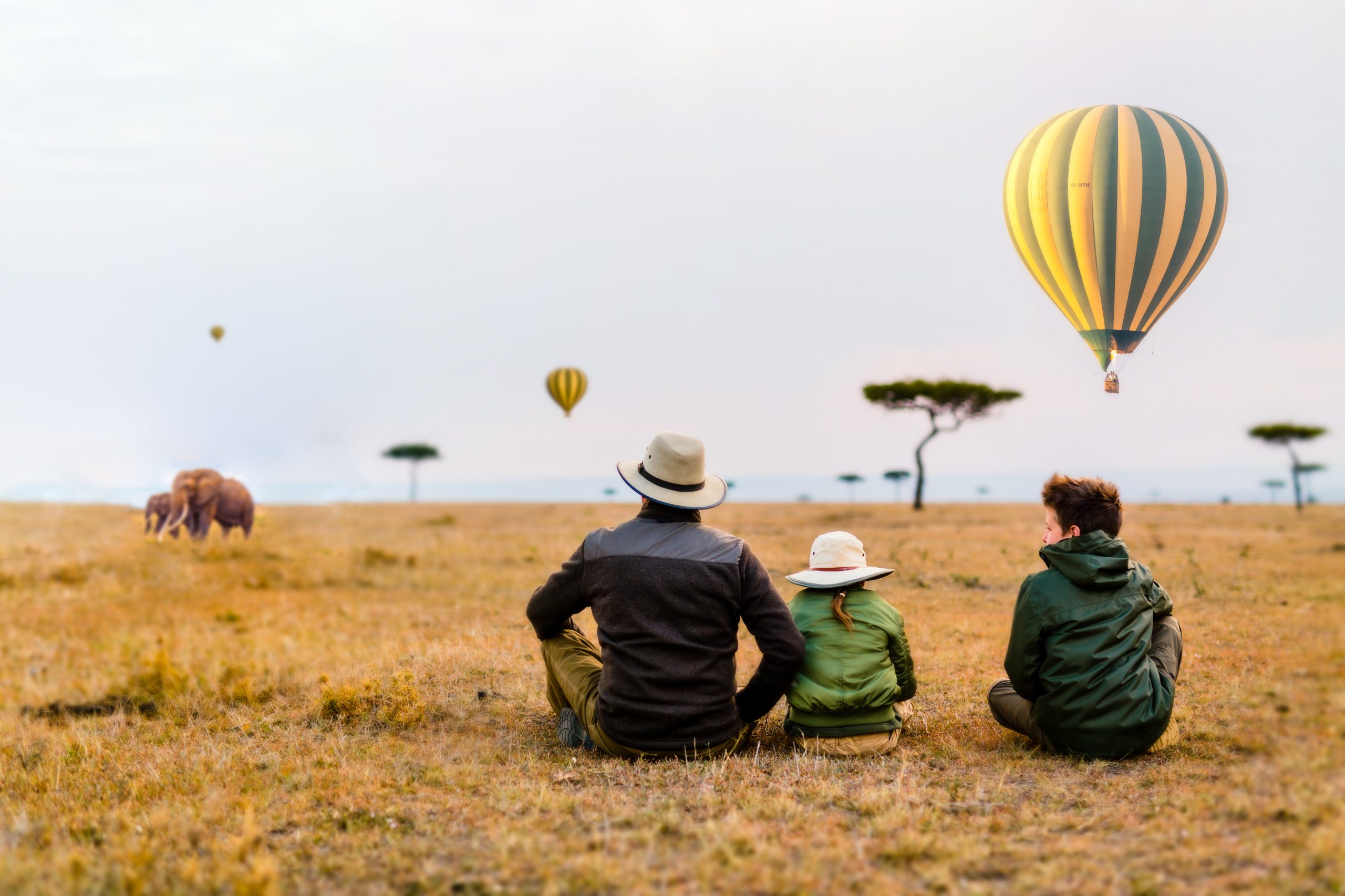 Family First Safari