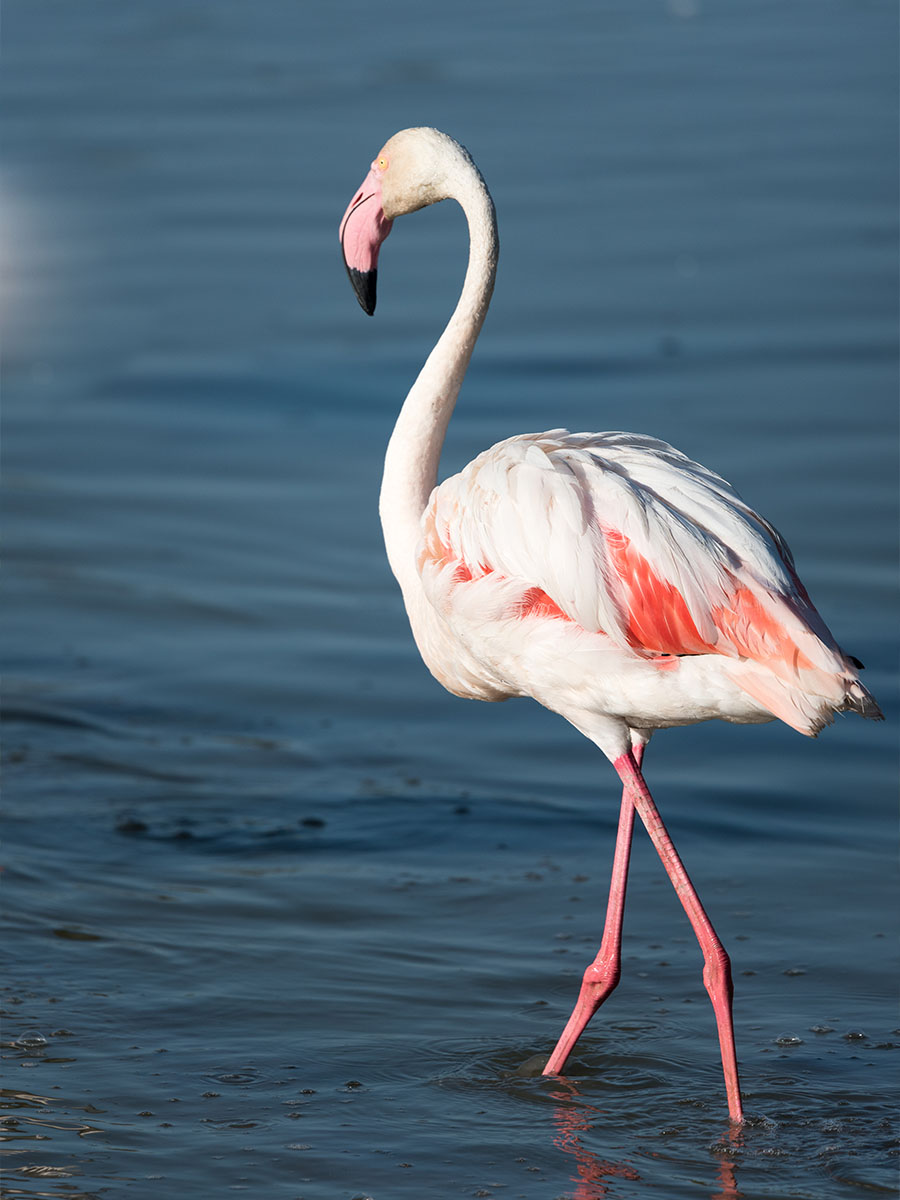 Lake Manyara