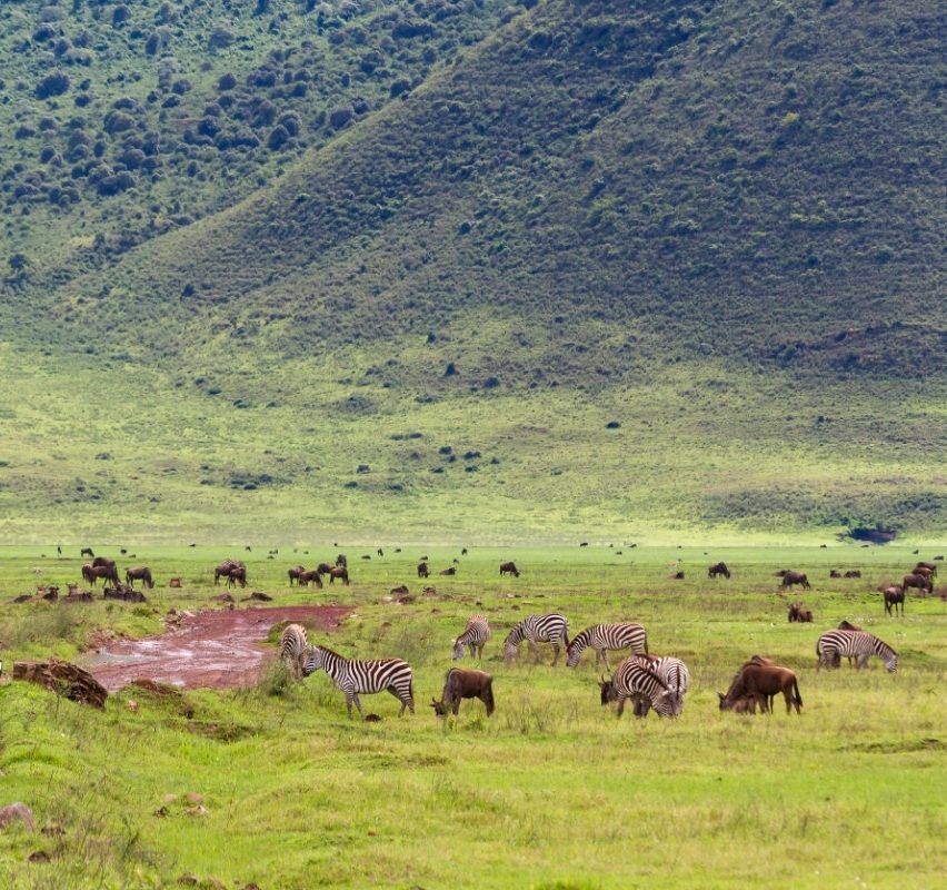 Ngorongoro Crater