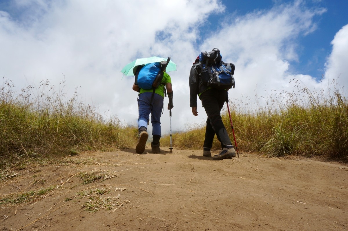Walking safaris