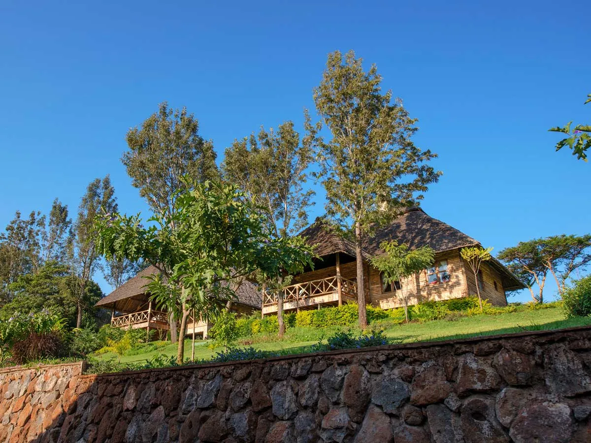 Tarangire Treetops
