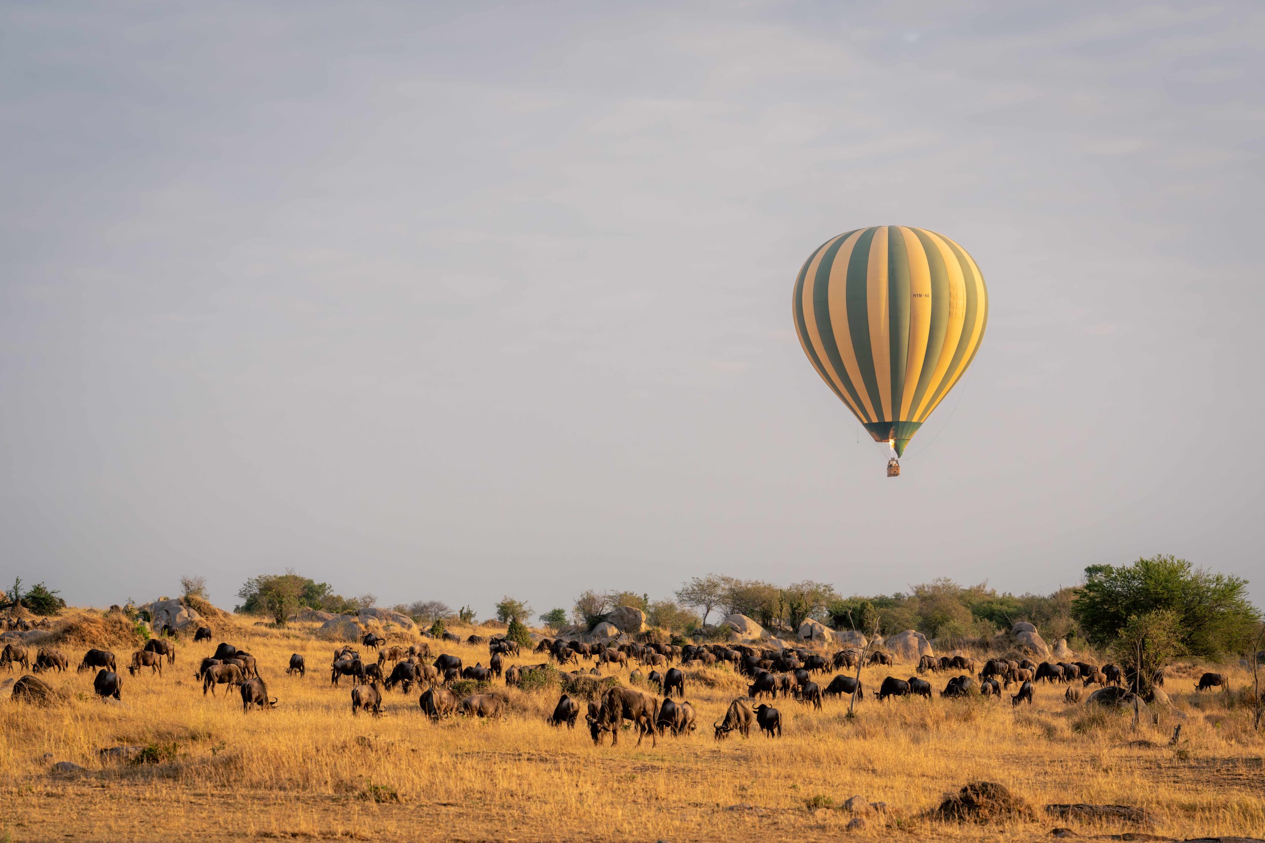 Hot air balloon safari