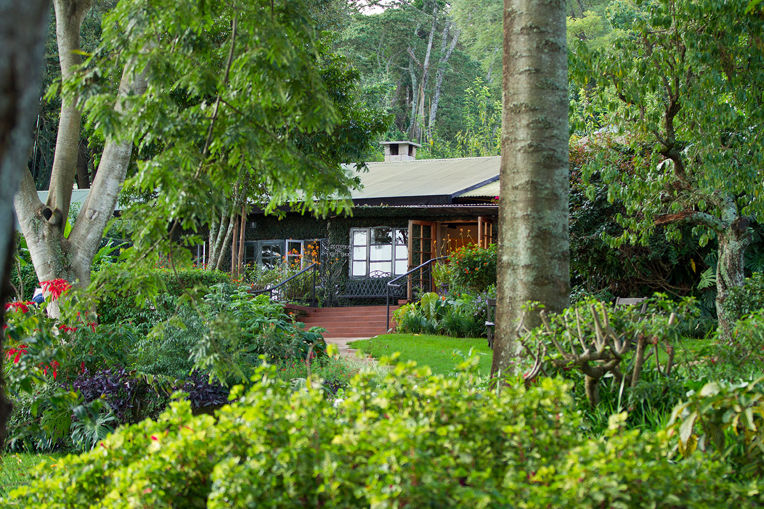 Gibb's Farm