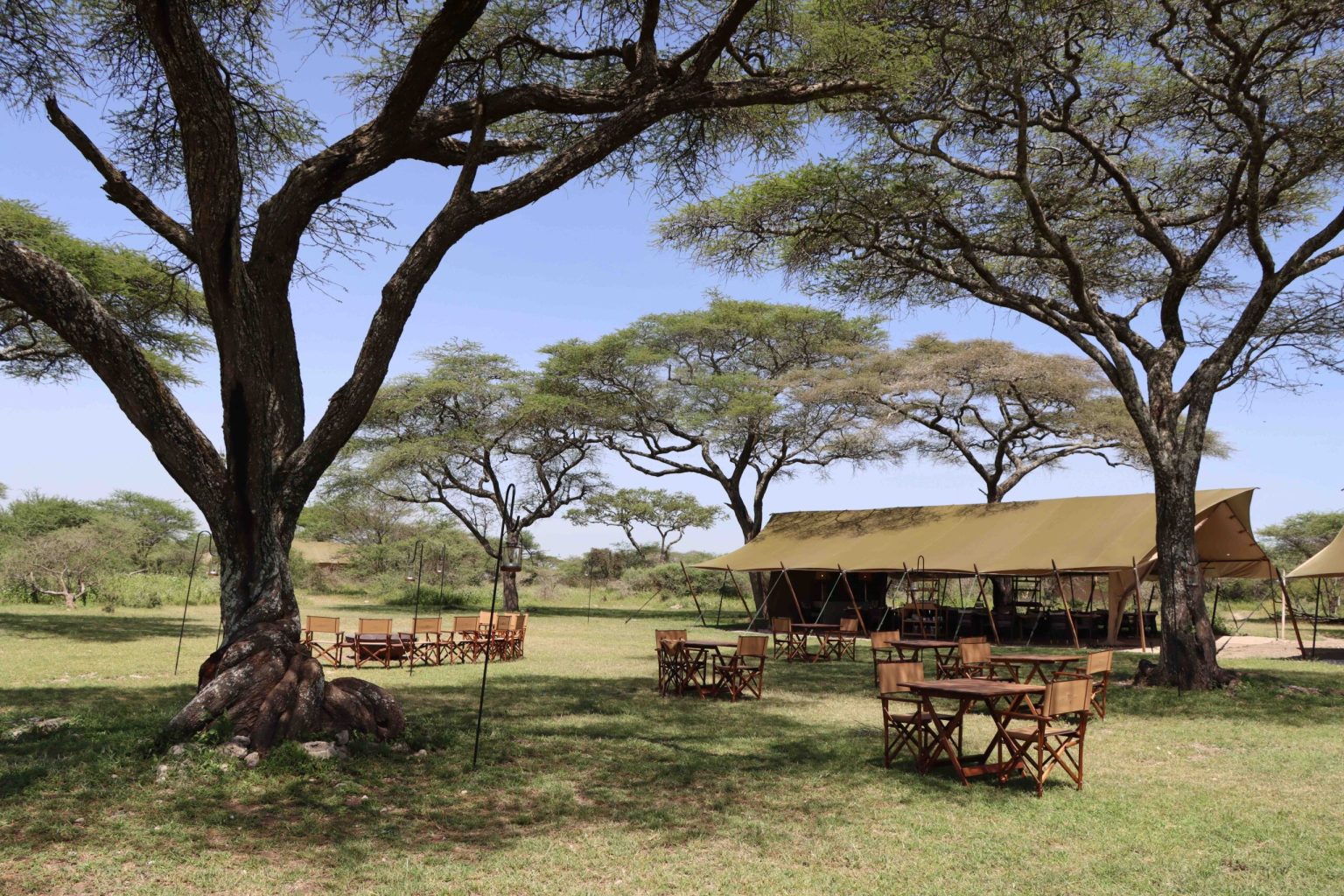 Tented Camps