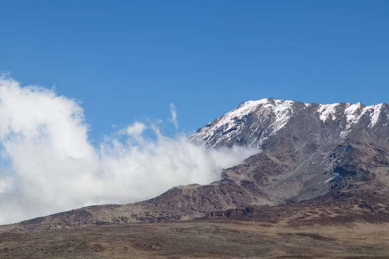 Kilimanjaro’s Ecosystems: A Transformative Safari Experience