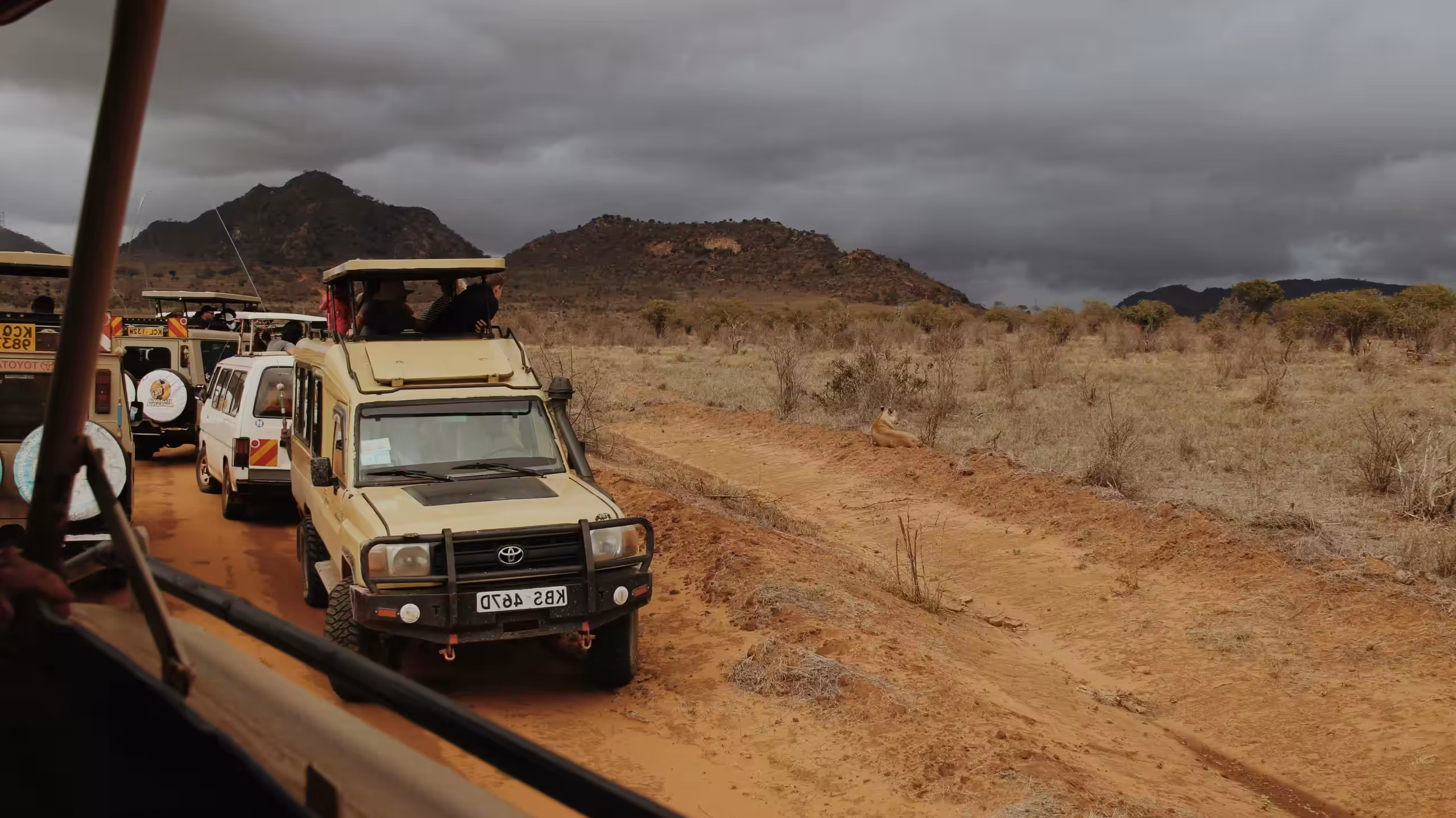 Southern Serengeti