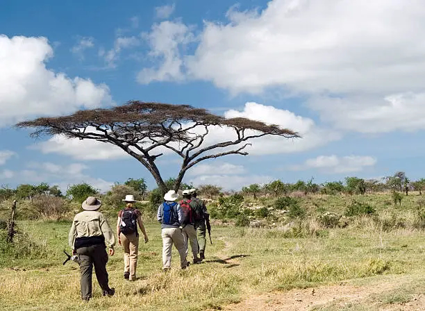 Walking among baobabs · Tarangire