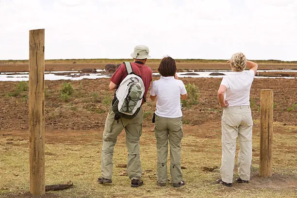 Walking safaris