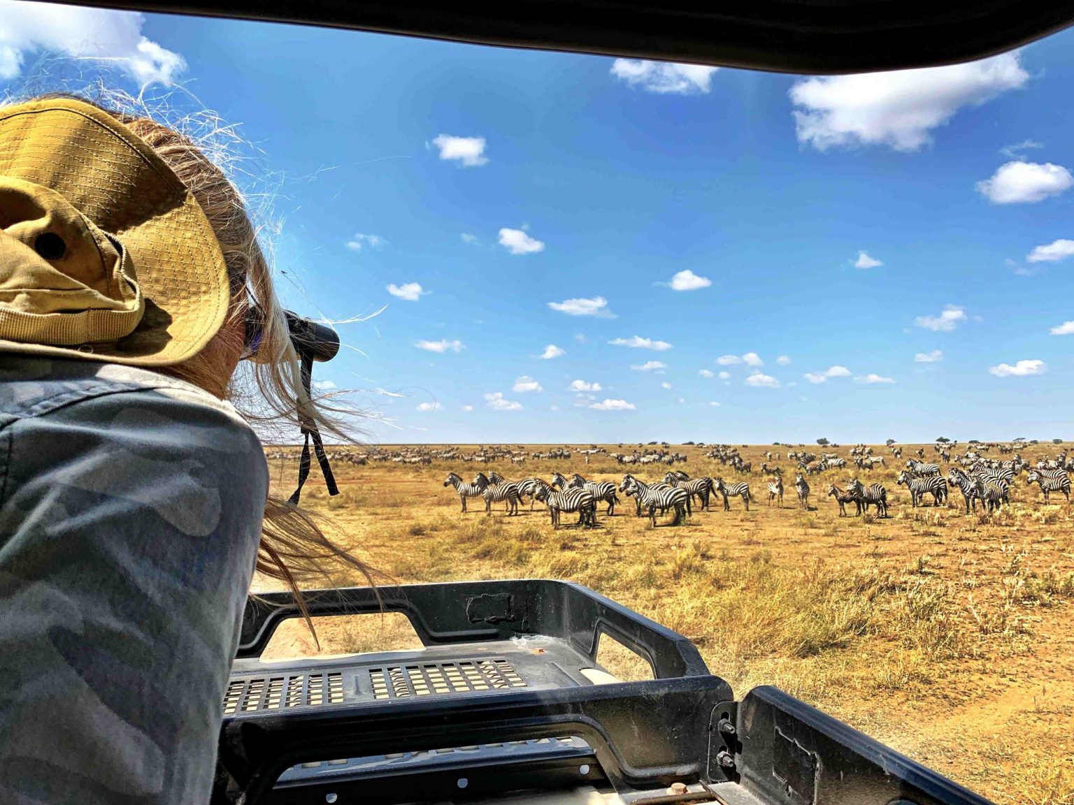Watching zebras through binoculars in the Serengeti
