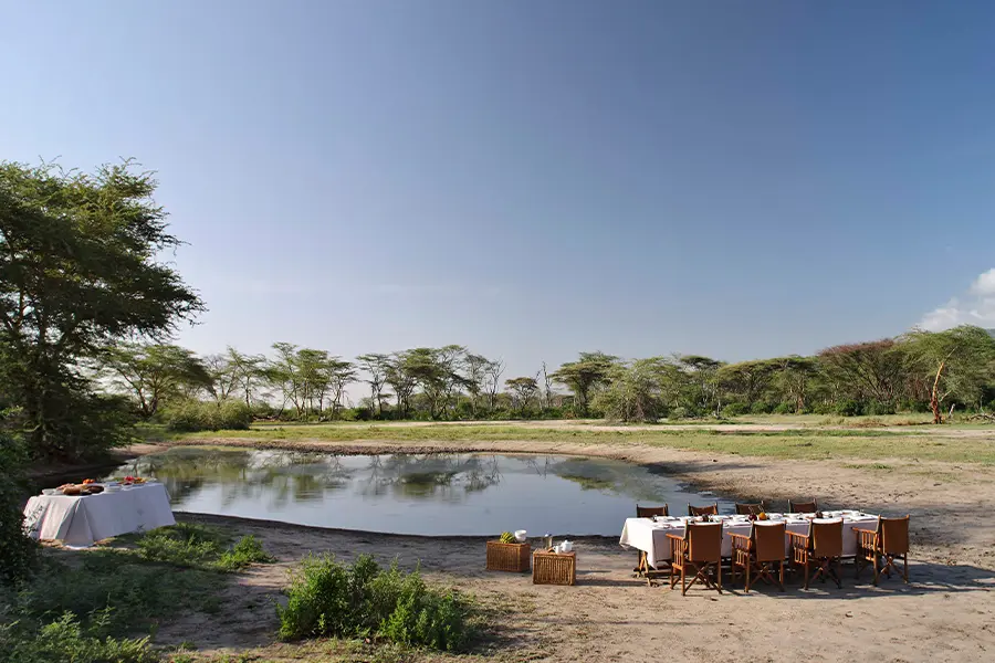 Bush dining