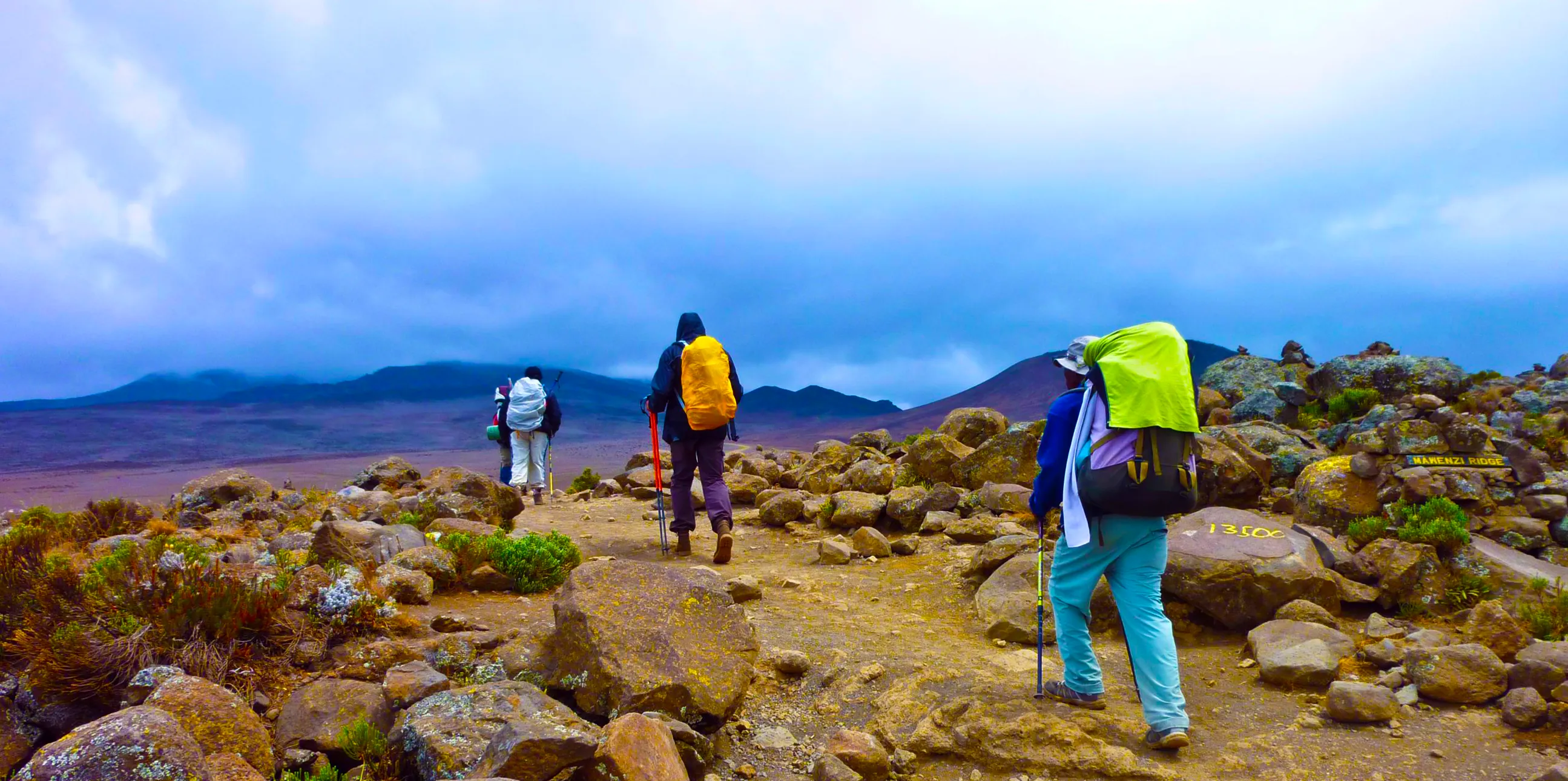 Three trekkers with backpacks walking a rocky trail through low heath
