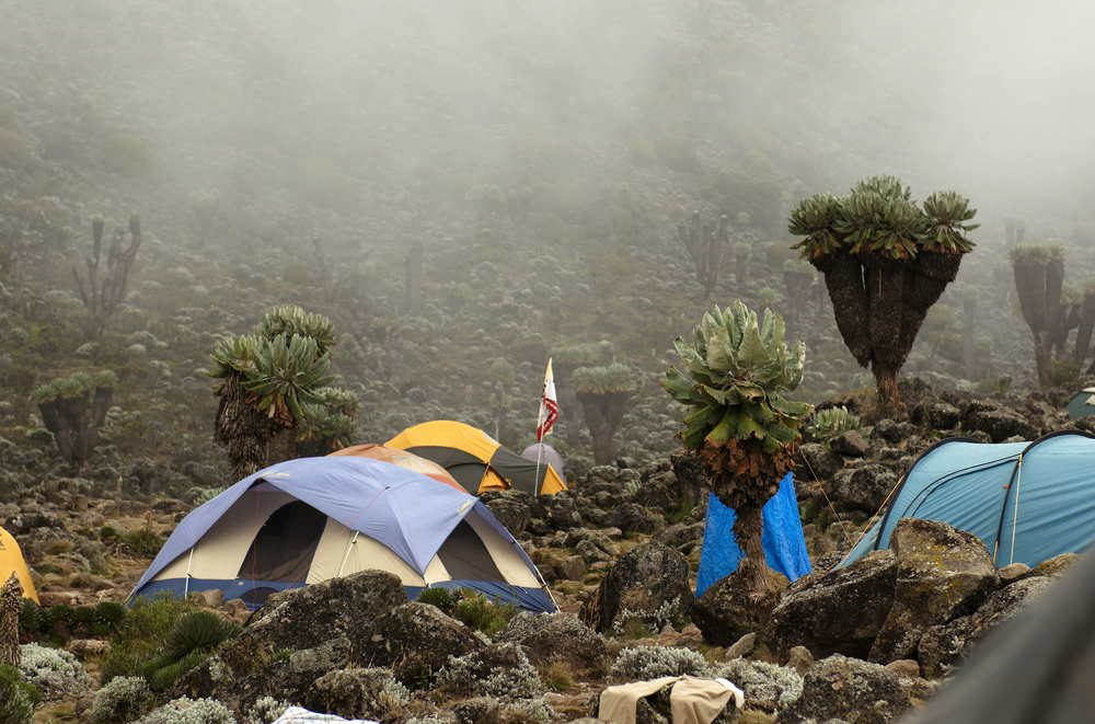 Mist over the tents at Barranco Camp