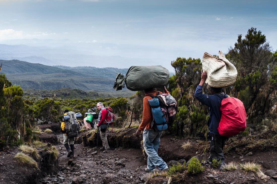 Porters carrying loads on their heads down a trail through heather
