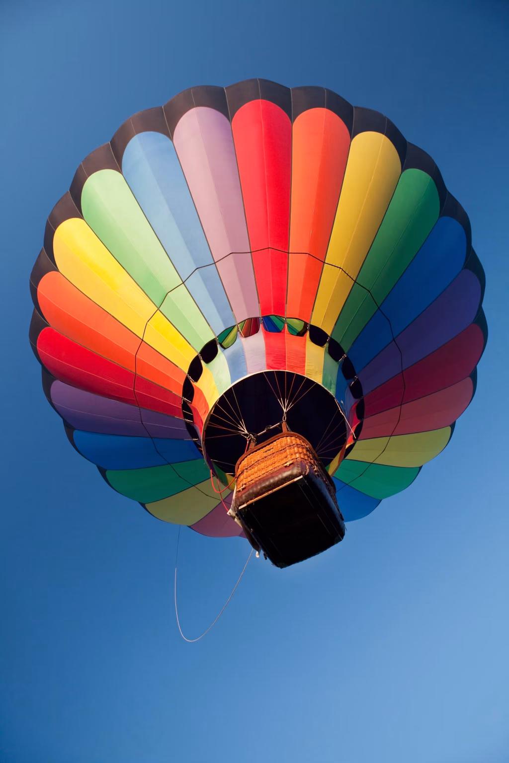 Balloon Safari