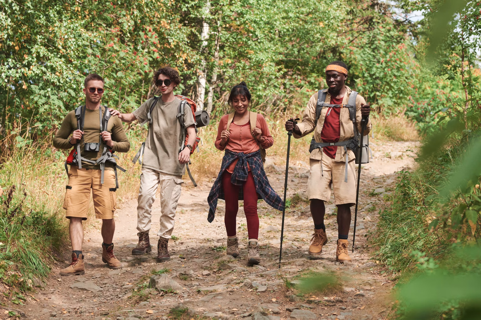 Walkers on a forest trail