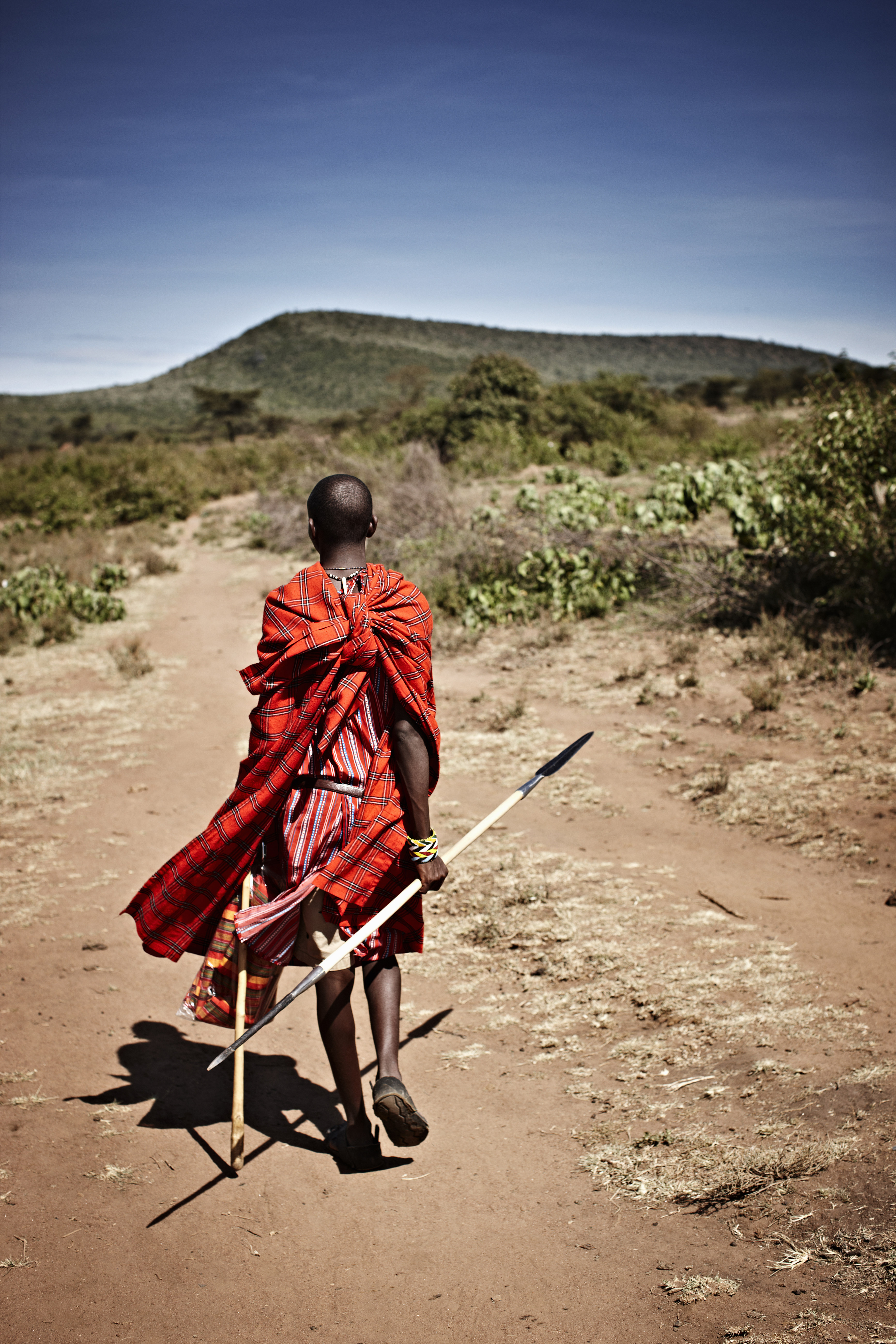 The Historical Roots of Tanzania's Conservation Success