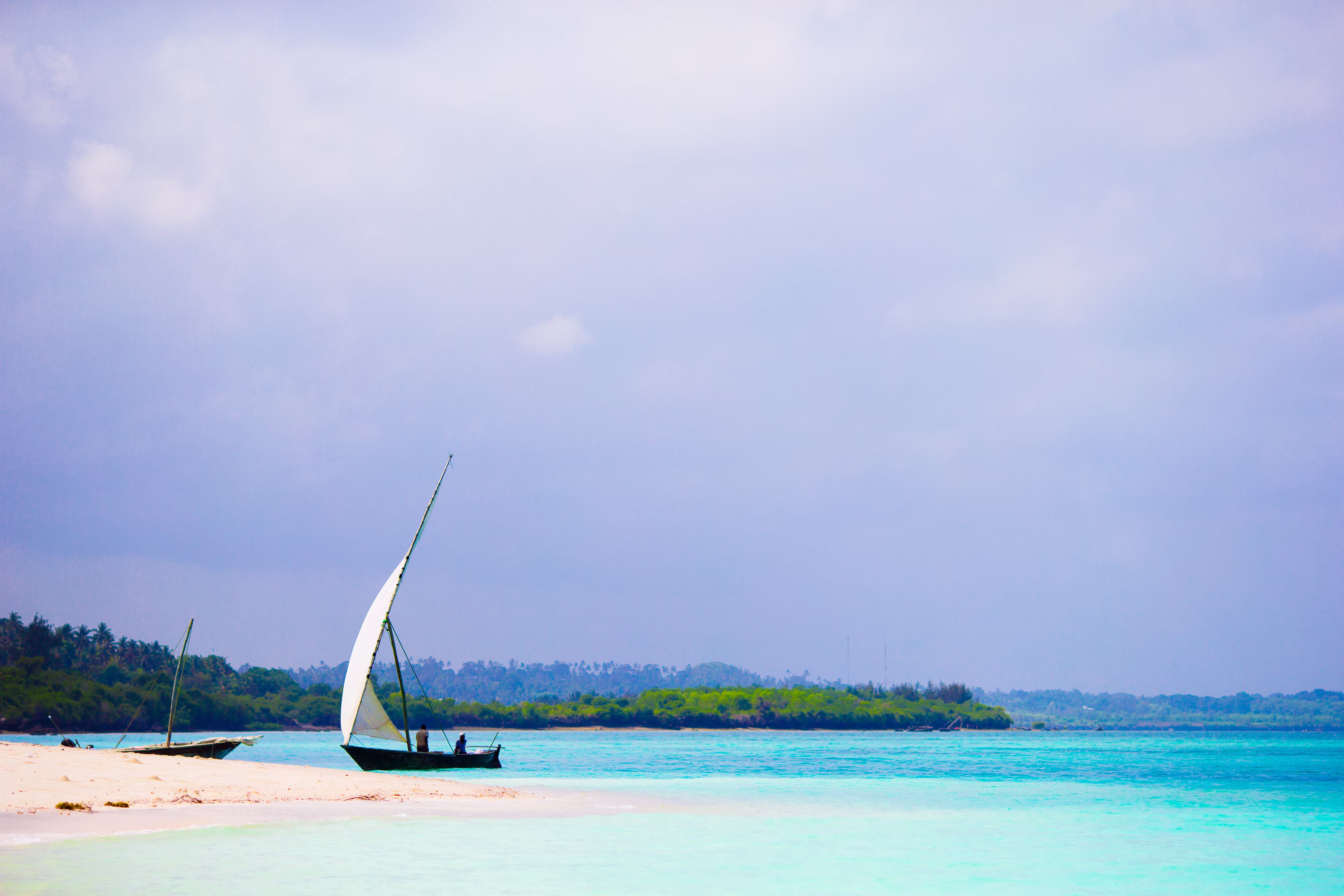 Dhow sailing