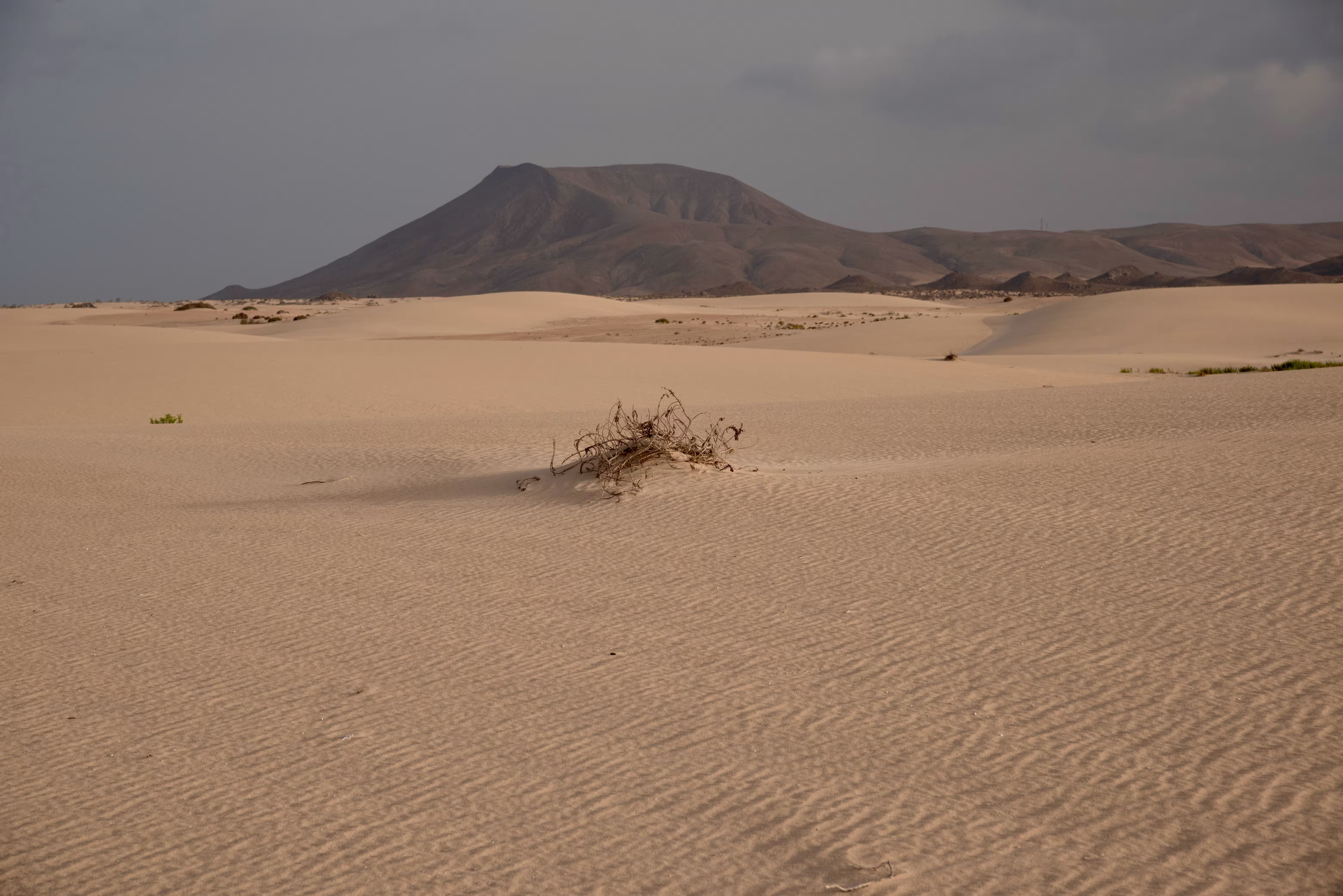 Shifting Sands