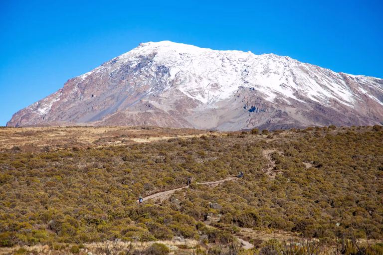 Kilimanjaro Climb Training: Embark on an Unforgettable Adventure