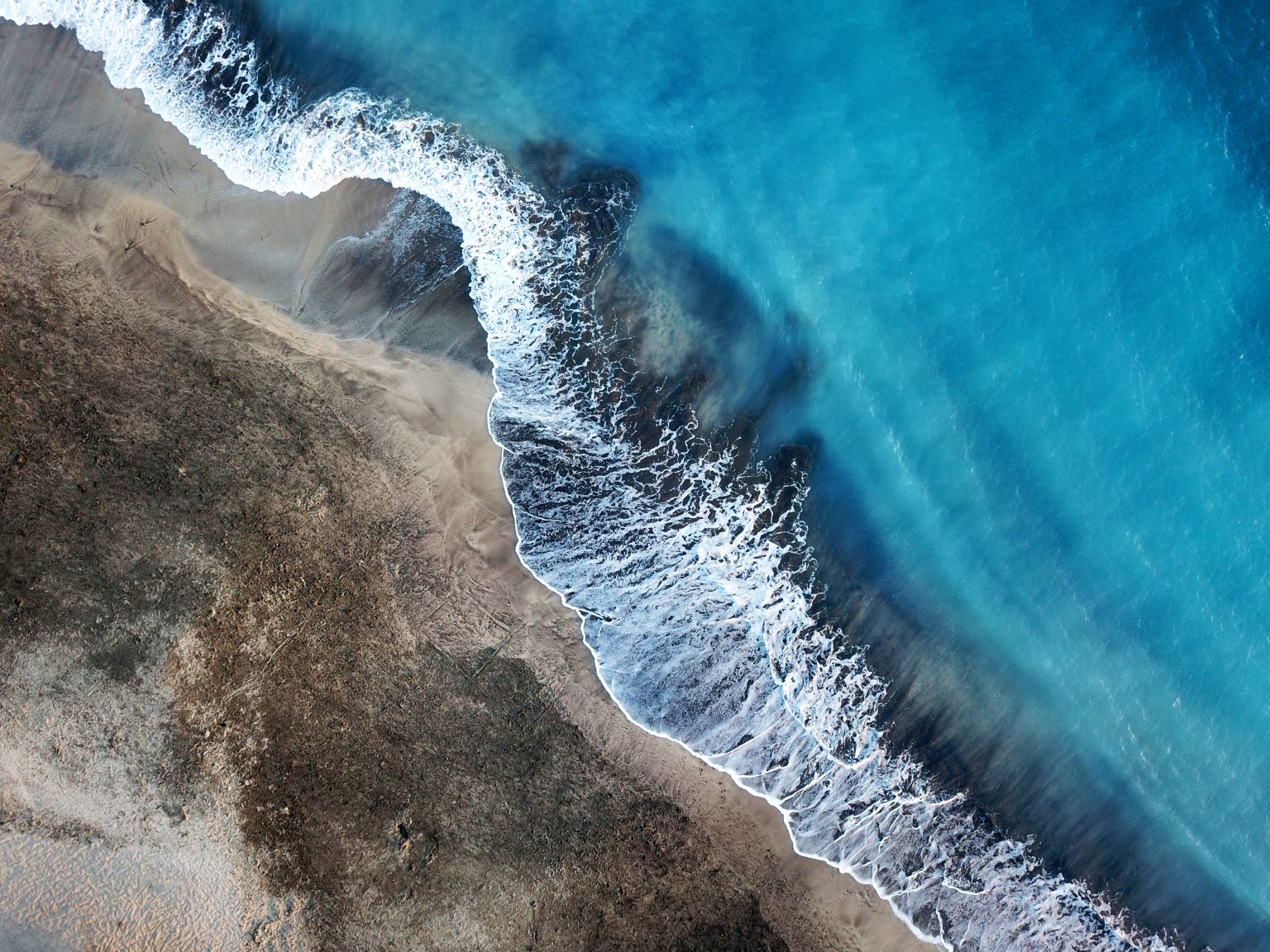 Zanzibar Shores