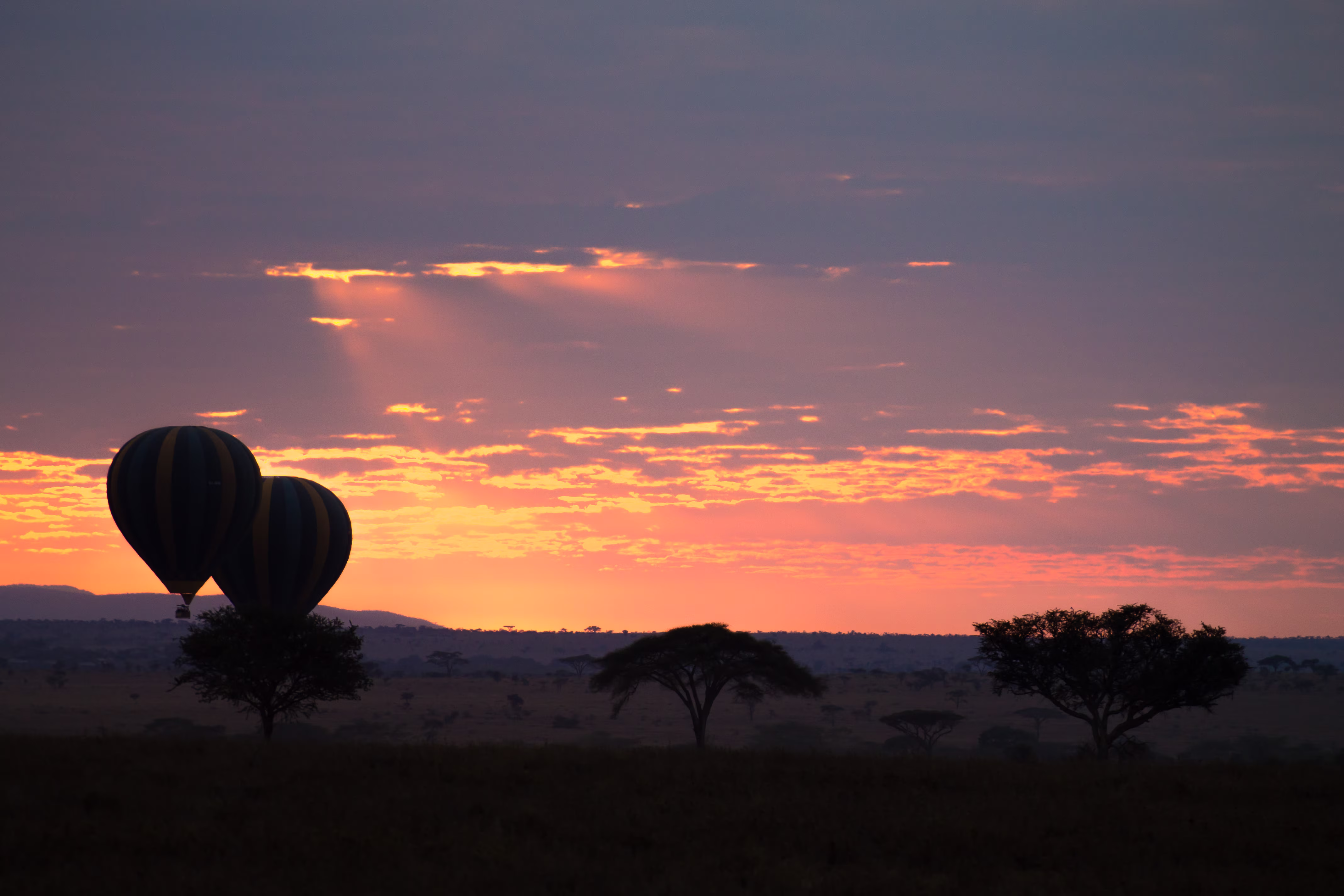 Serengeti Escape