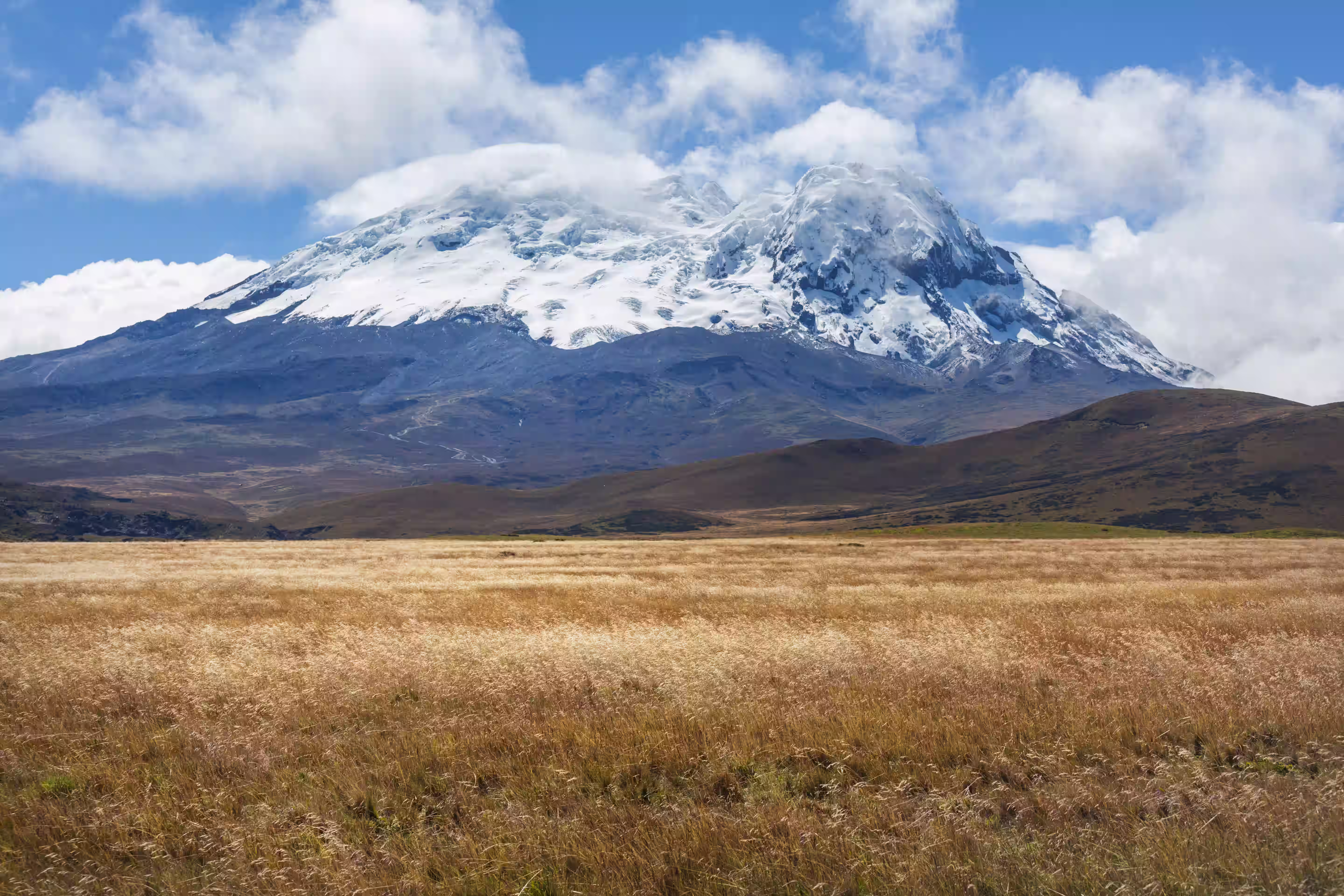 Kilimanjaro wildlife safari