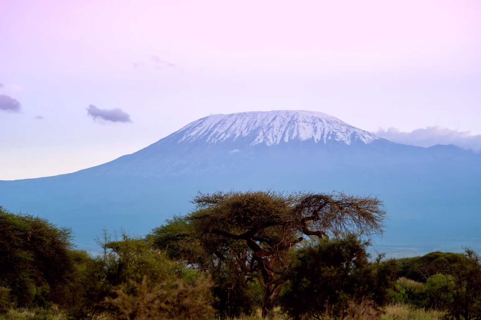 Kilimanjaro seen from the plains to the north