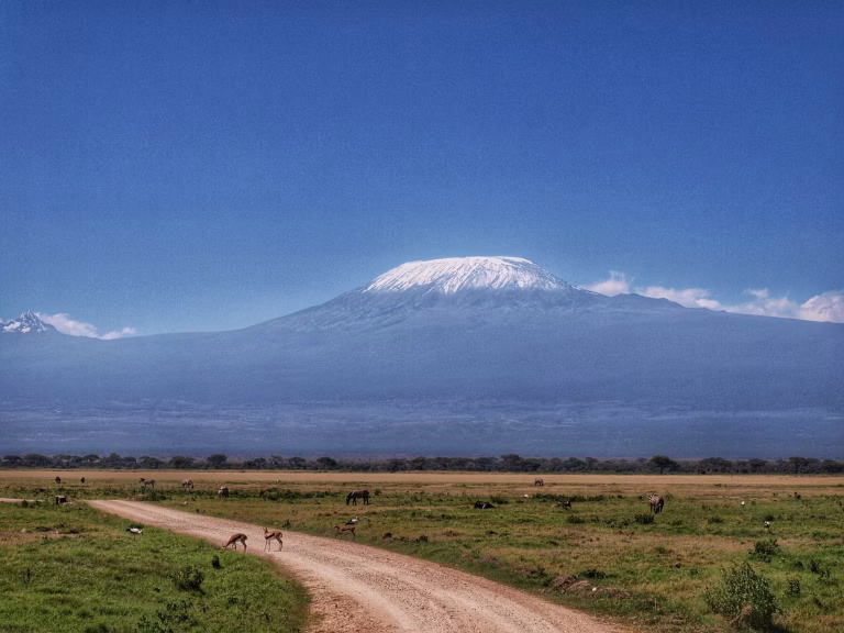 Mount Kilimanjaro Safari Experience: Wildlife on Africa’s Highest Peak