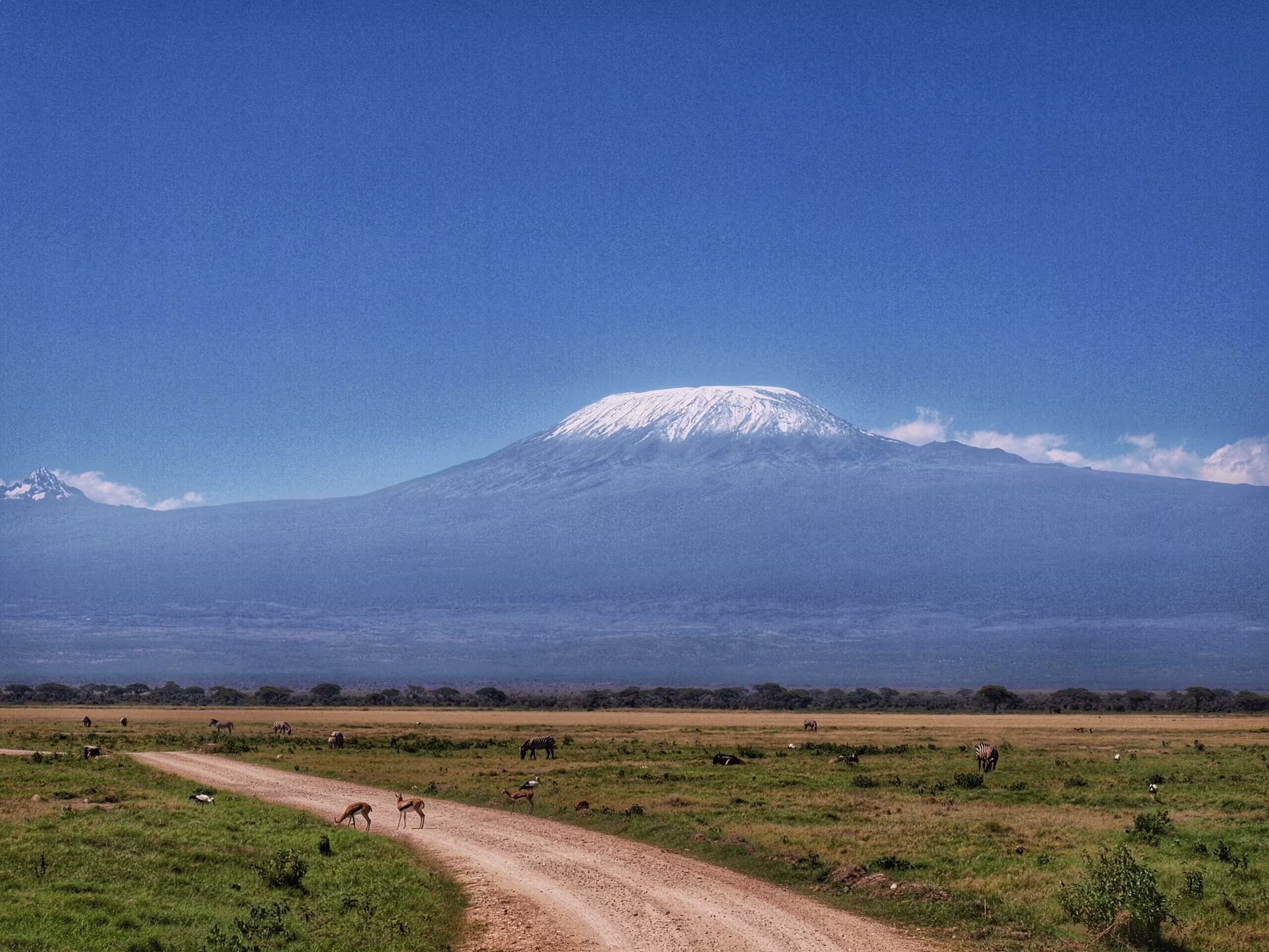 seven summits list by elevation