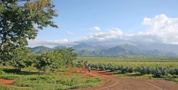 Morogoro educational center