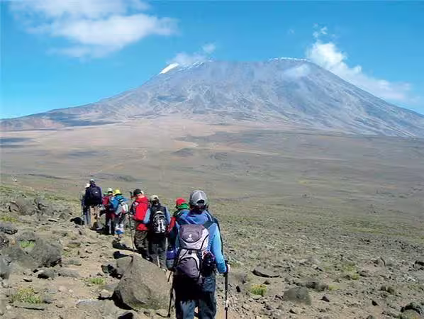 Kilimanjaro rainforest belt