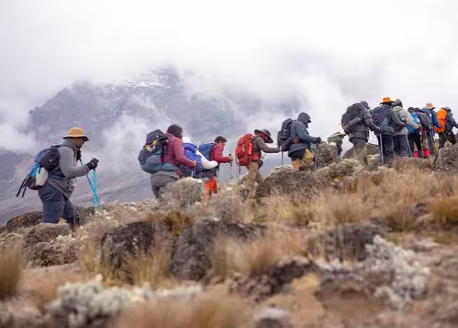 Northern Circuit Kilimanjaro booking