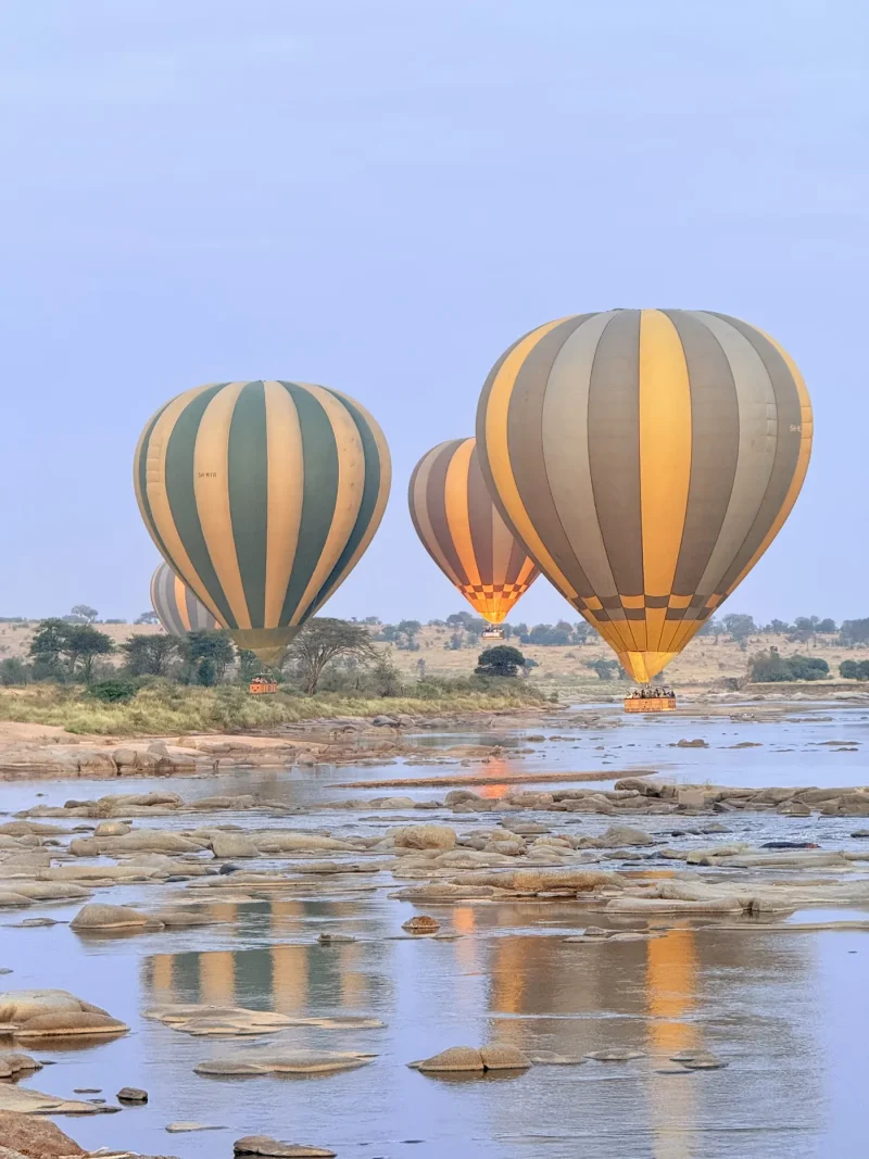 Balloon Safari
