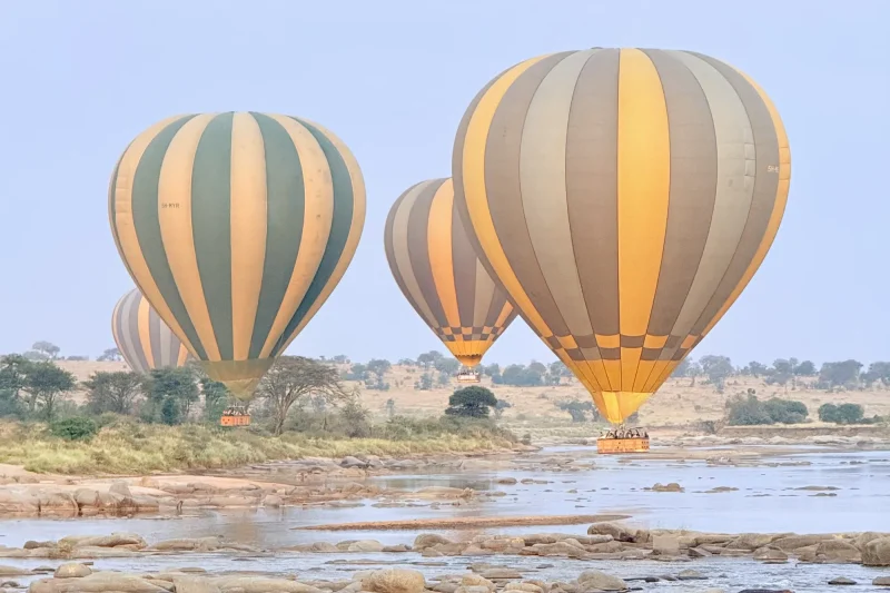 Hot-air balloons over the Mara River at sunrise on a Great Migration safari