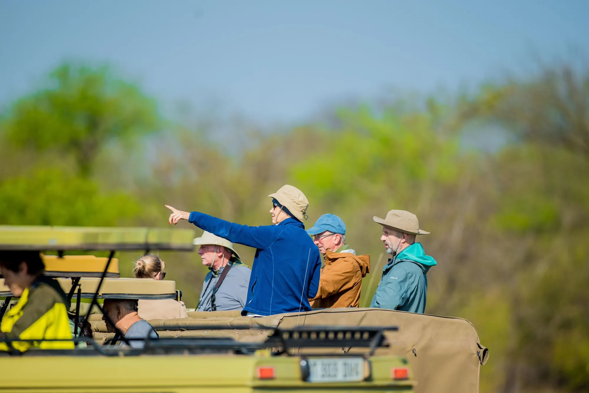 Guests on a game drive, one pointing out wildlife from an open safari vehicle