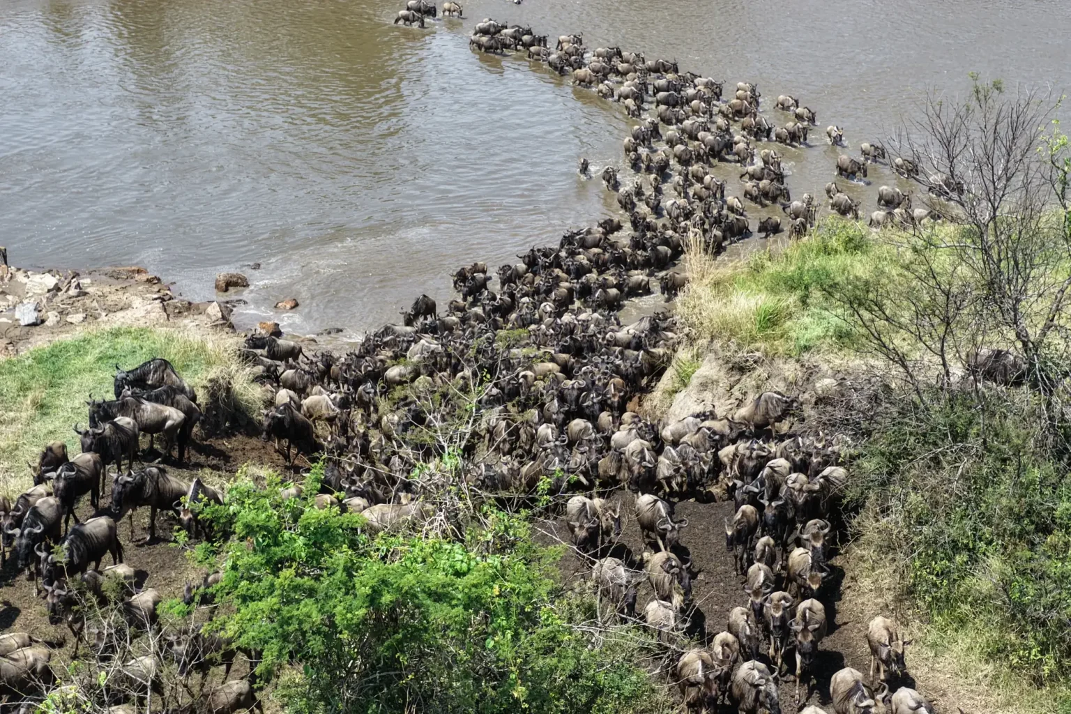 River Crossing